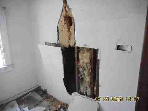 17151 Anglin (44)_m.jpg